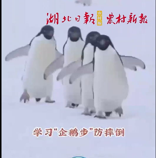 雪天出行，一起来学防滑“企鹅步”