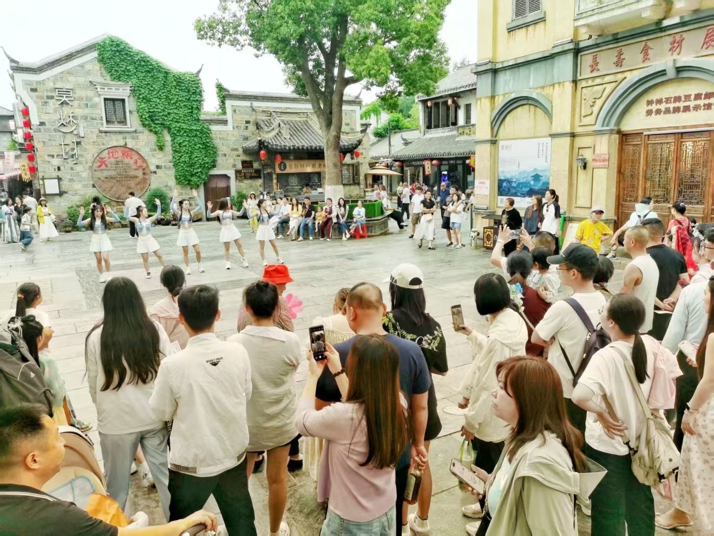 微信图片_20250506084101