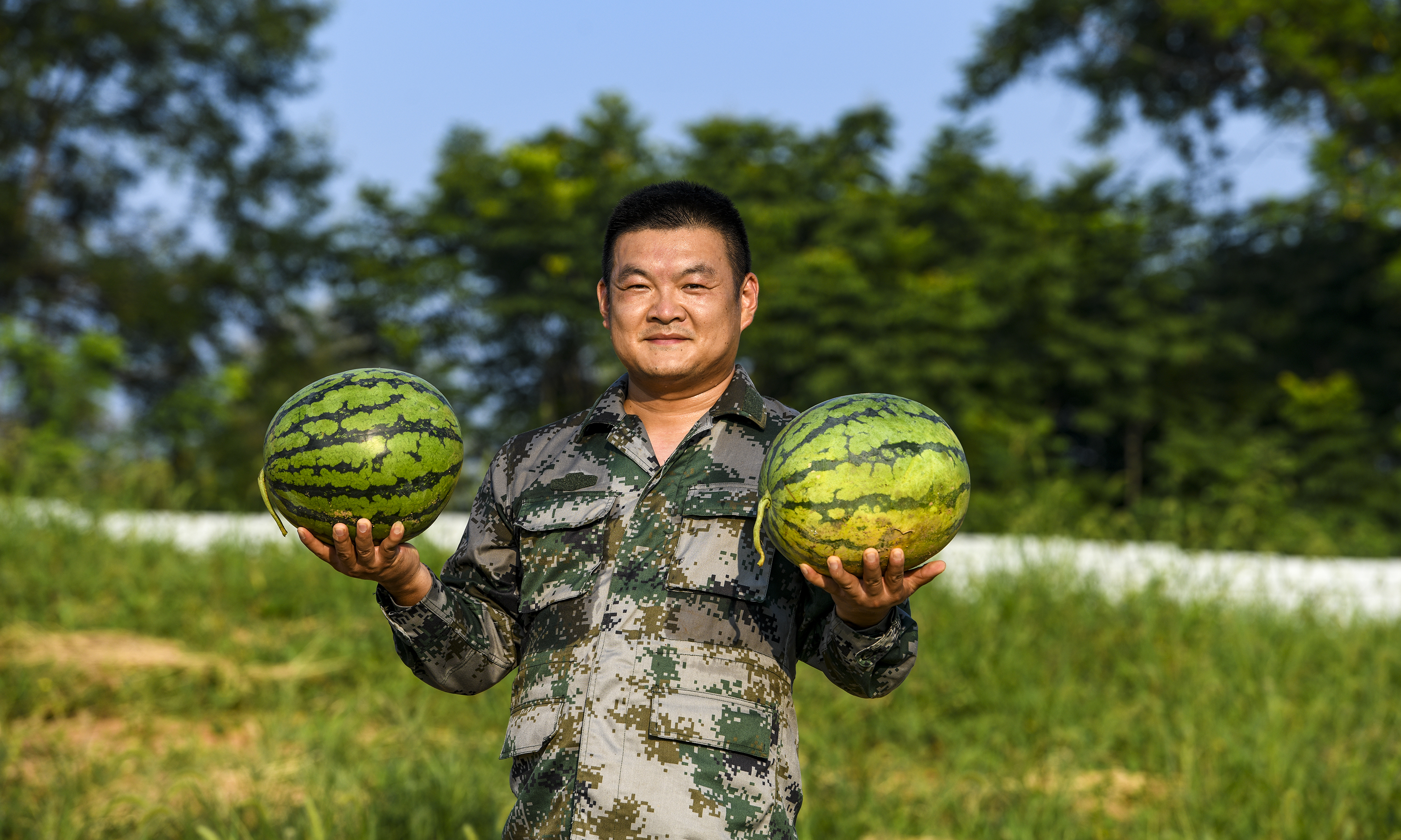 低产林地瓜香溢